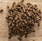 Ladda upp bild till gallerivisning, Magnesium B12 Hippolyt