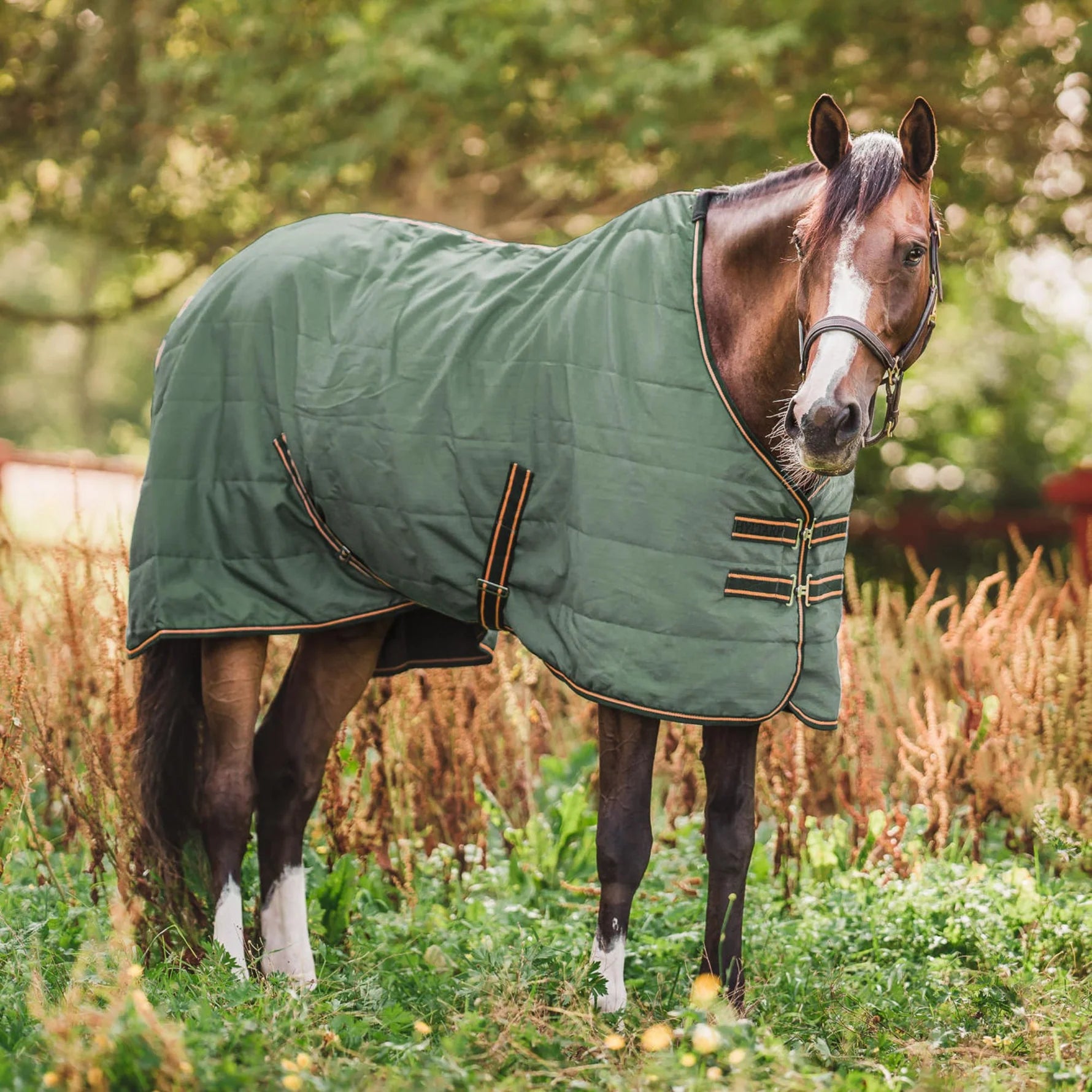 Täcke Hyltarp Stalltäcke Niki 0 gram