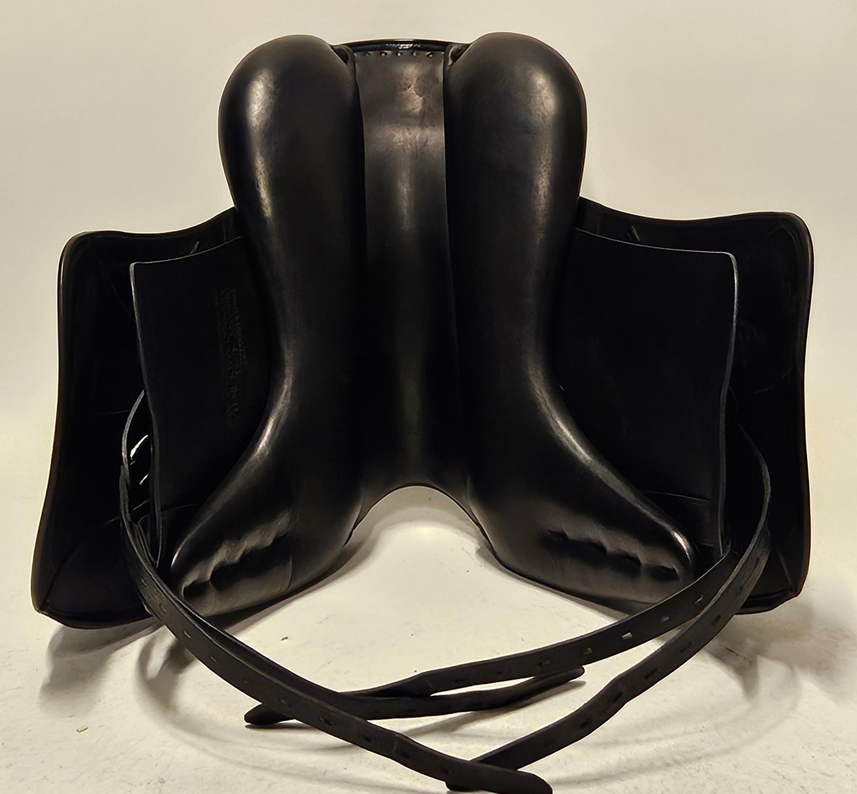 Amerigo Pasubio Siena Pinerolo 17"/+1