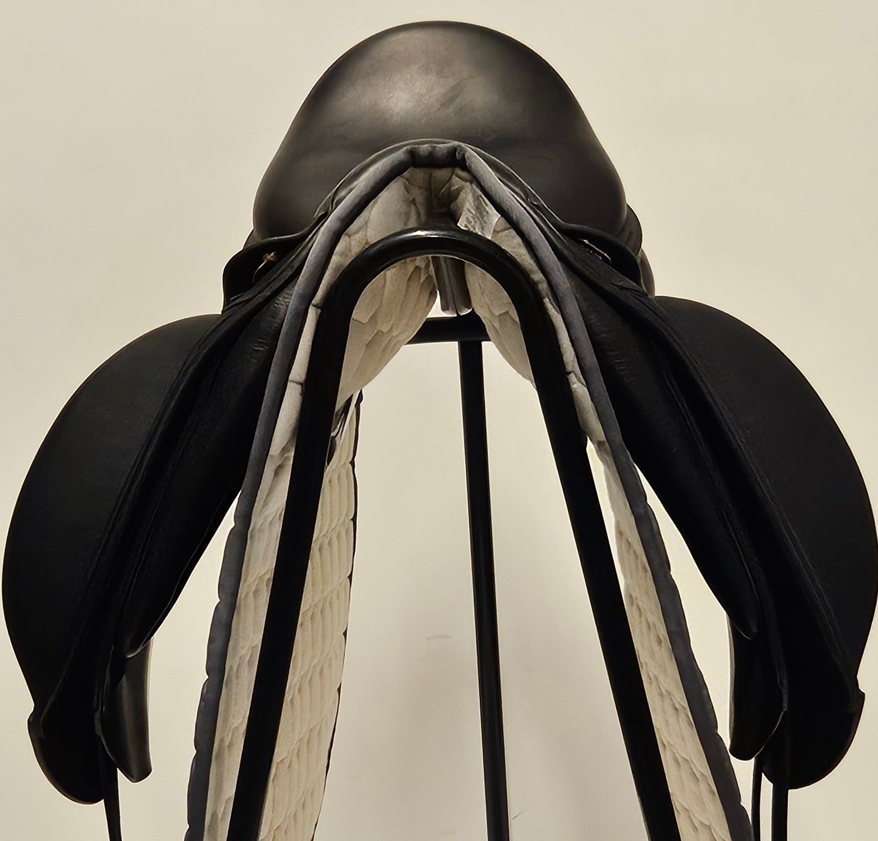 Amerigo Pasubio Siena Pinerolo 17"/+1