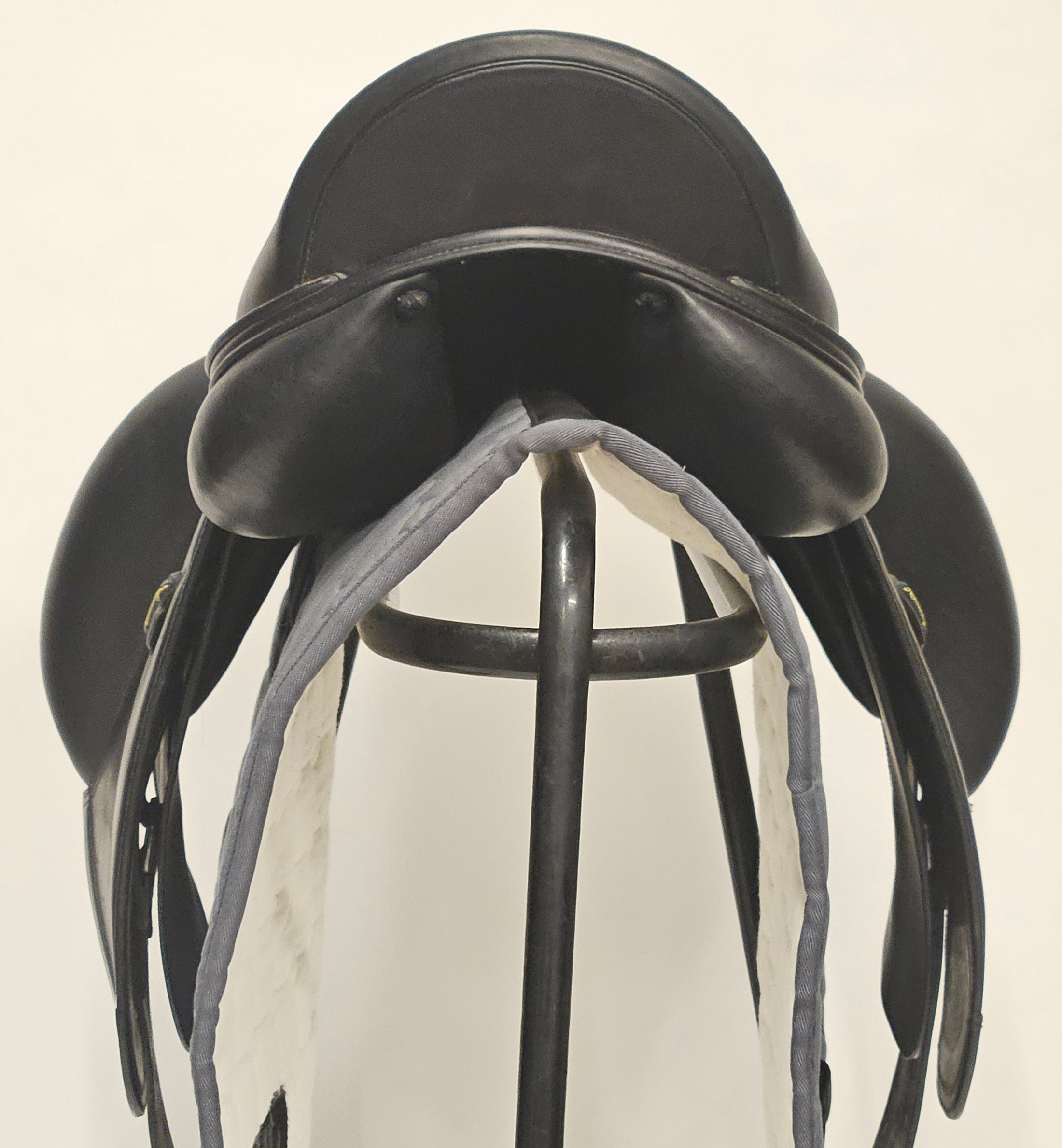 Amerigo Pasubio Siena Pinerolo 17,5"/+0,5