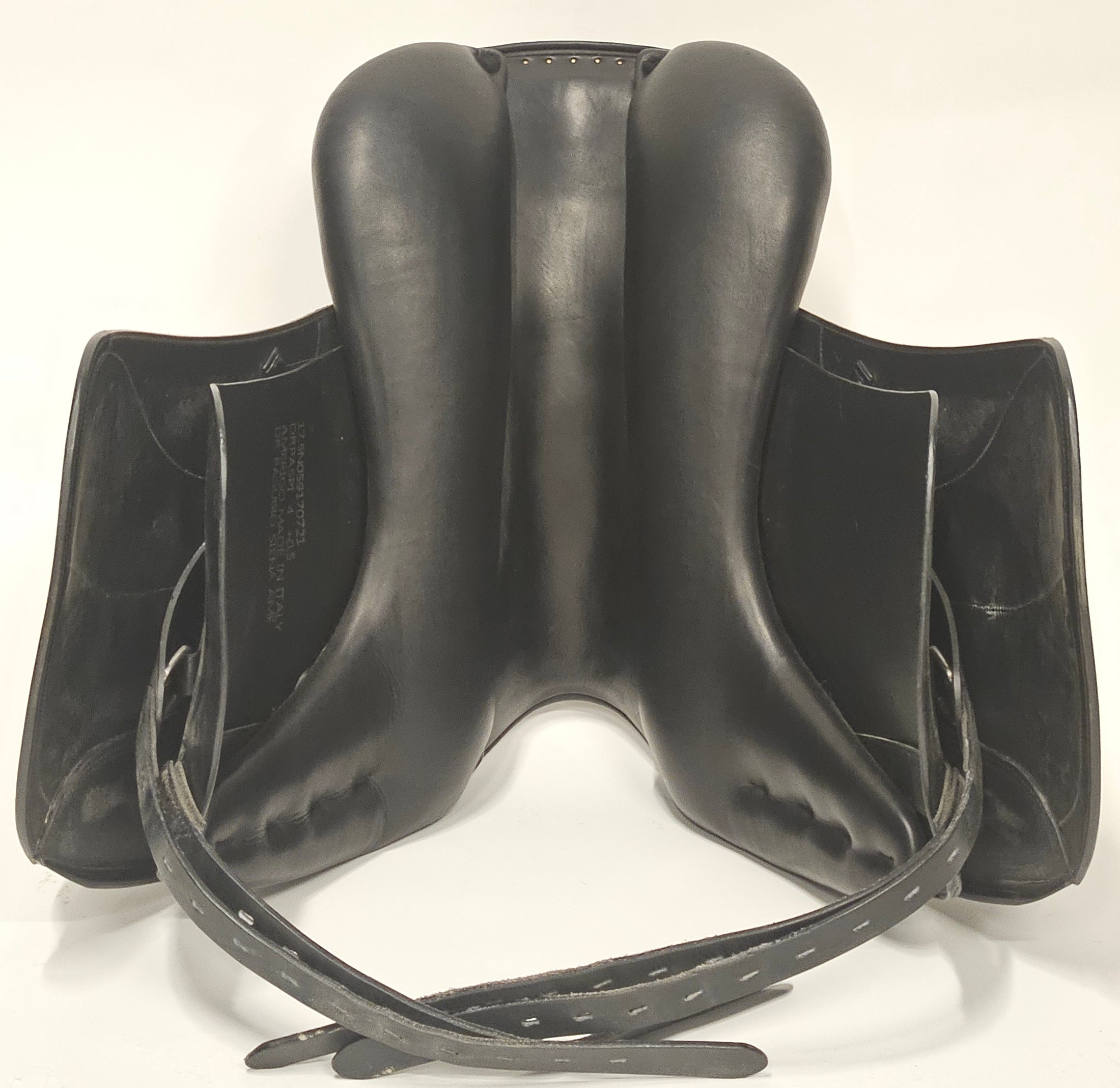 Amerigo Pasubio Siena Pinerolo 17,5"/+0,5