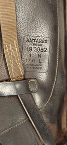 Antares Tempo Dressyrsadel 17,5"/W