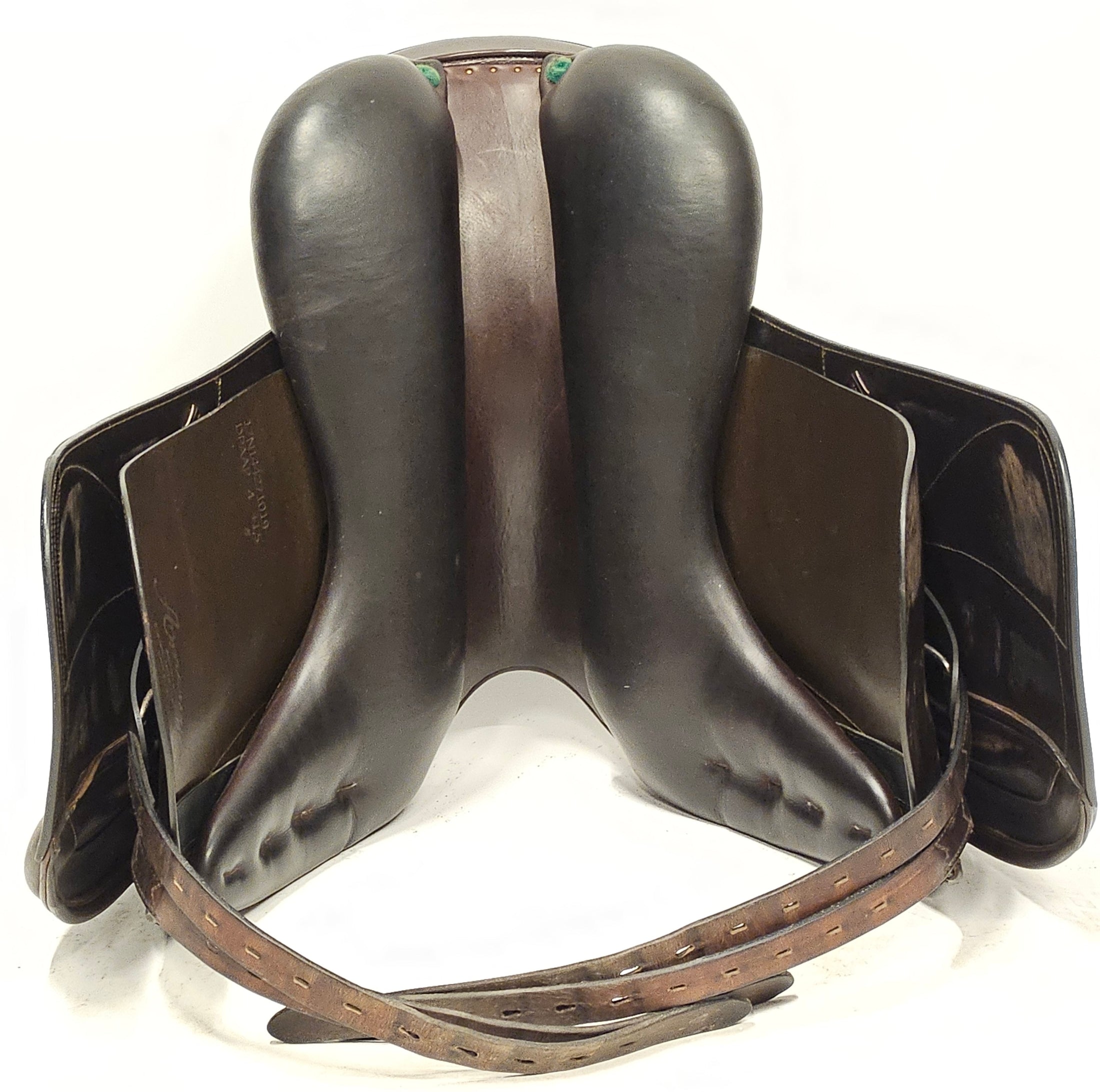 Amerigo Pasubio Pinerolo 17"/+1,5