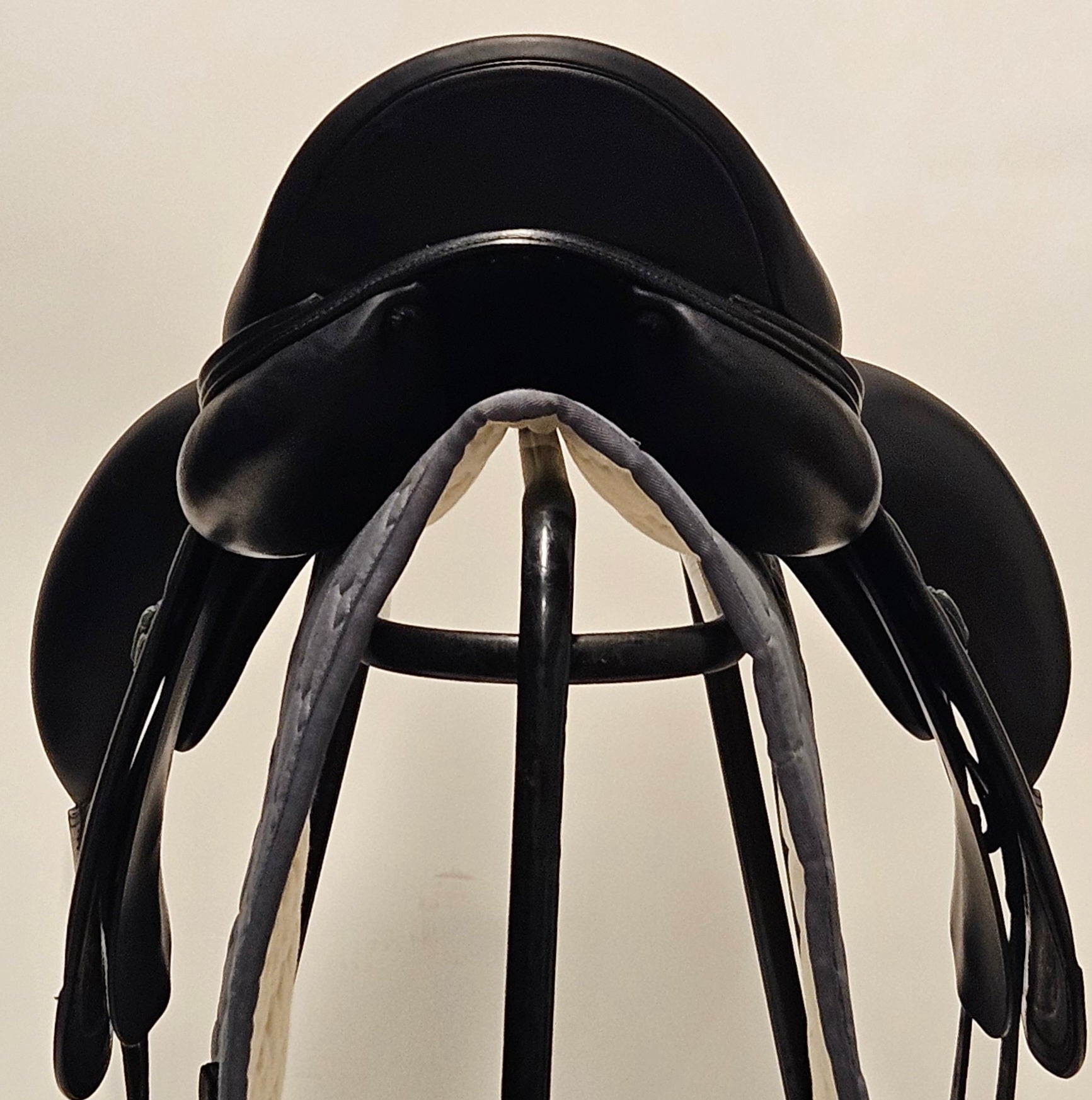 Amerigo Pasubio Siena Pinerolo 17"/+1