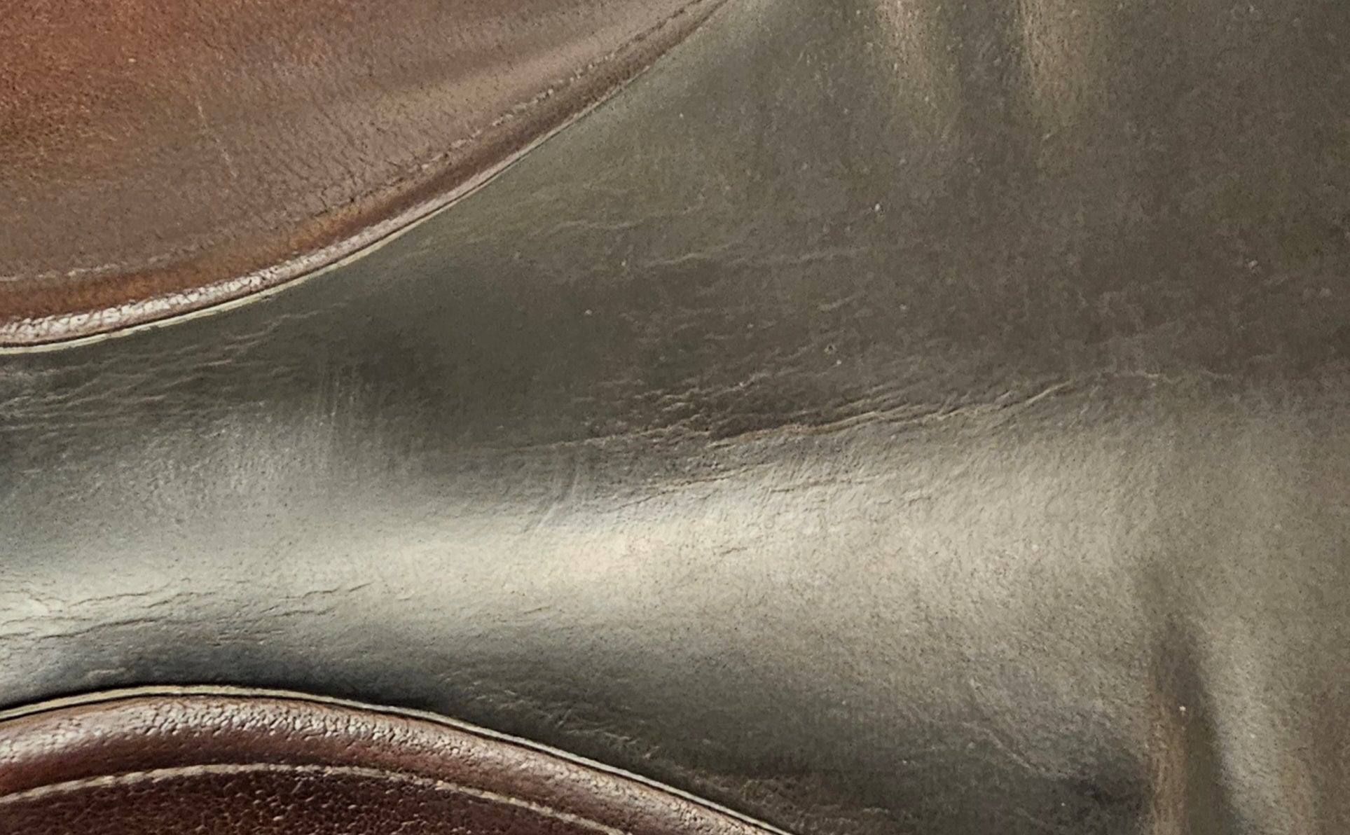 Anatomica Cygnus G3 Dressyrsadel 17,5"/M