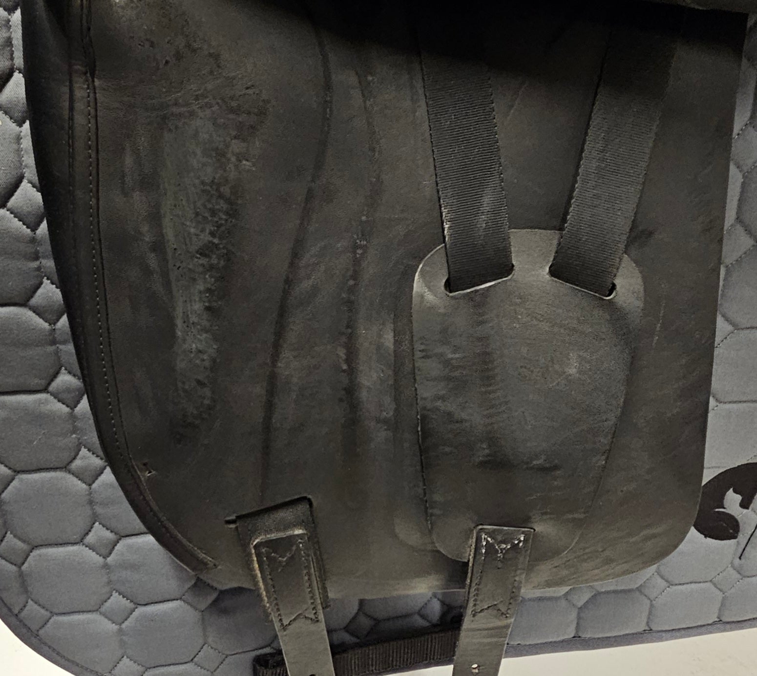 Amerigo Pasubio Siena Pinerolo 17"/+1