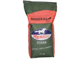 Load image into Gallery viewer, MINERAL RÖD RS MUSTANG
