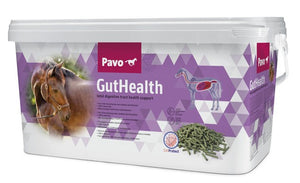 Pavo Gut Health