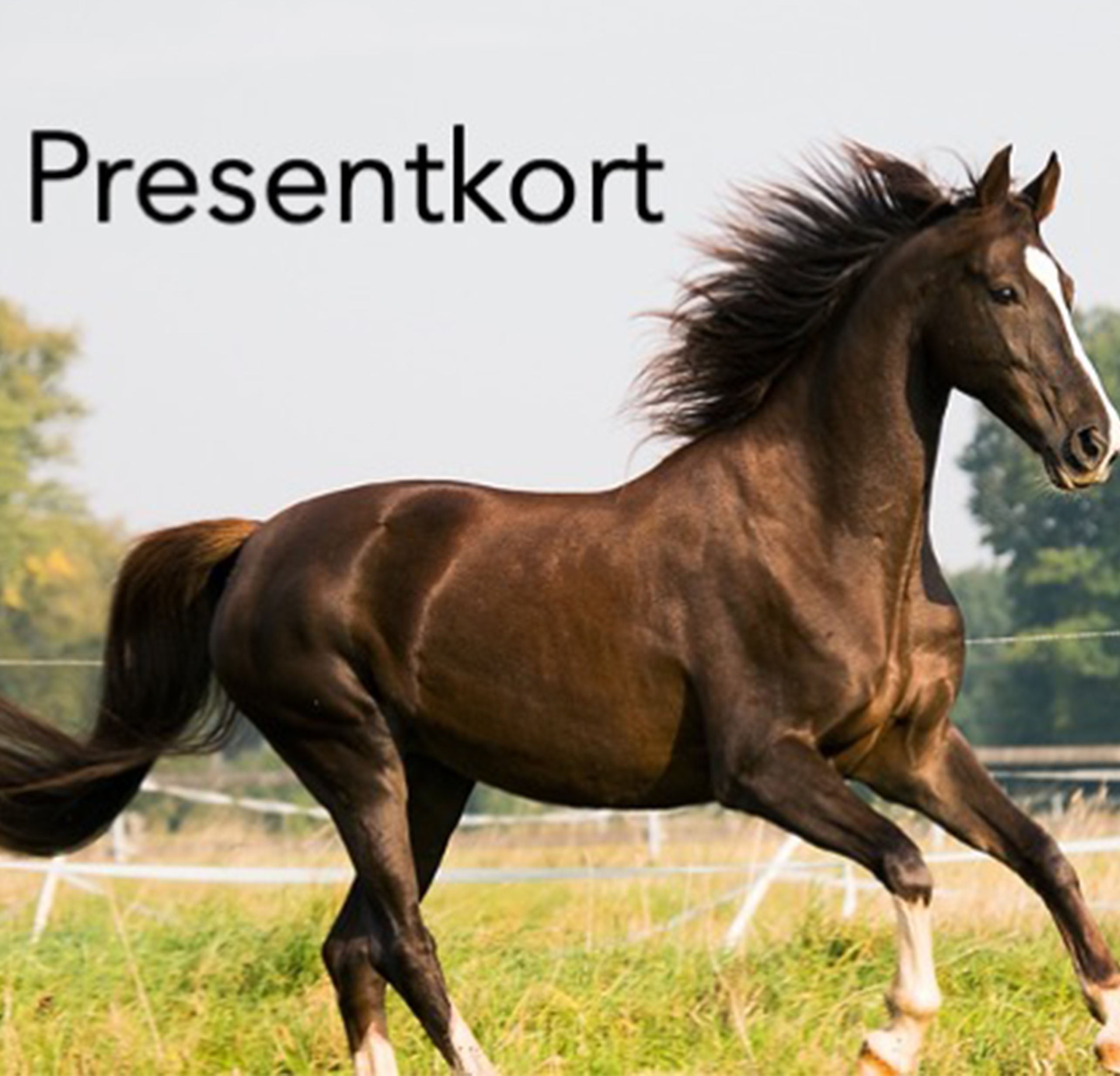 Presentkort By Horse